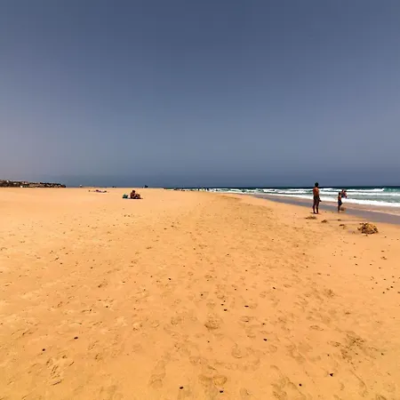 Matorral Vista 2 *