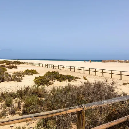 Matorral Vista 2